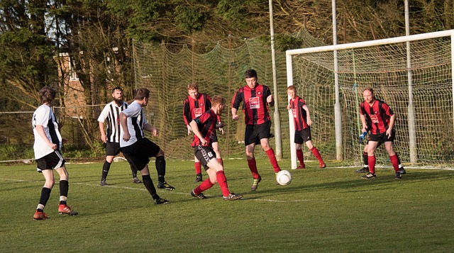 球队管理层 球队管理层