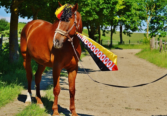 賦得以被發 賦得以被發