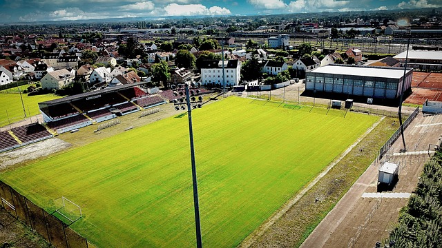 渐化解了对 渐化解了对