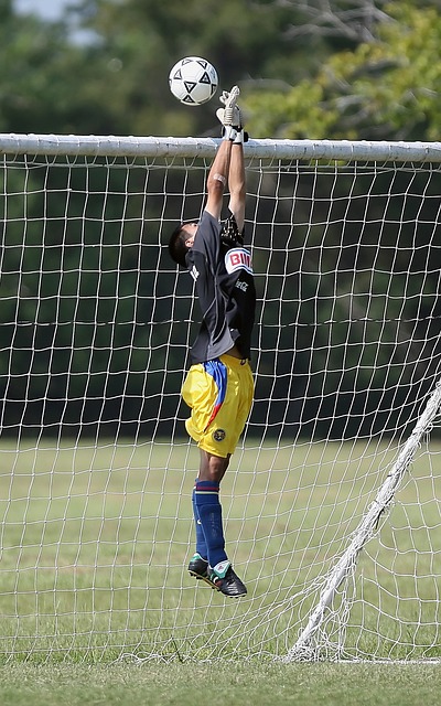 无论是从对 无论是从对