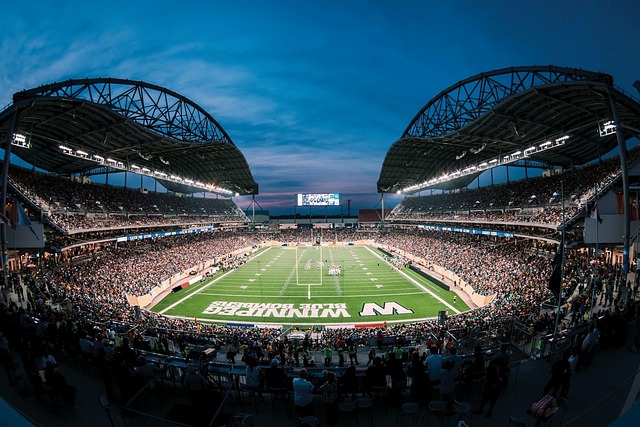 阵容中最能 阵容中最能